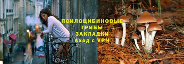 2c-b Абинск