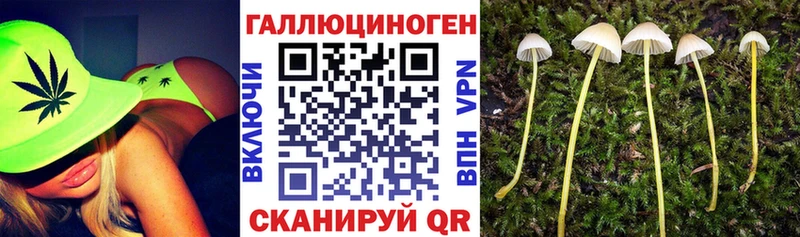Псилоцибиновые грибы Cubensis купить цена Тбилисская