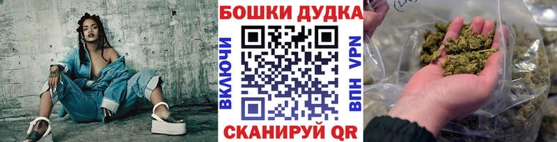 Конопля конопля  Тбилисская 